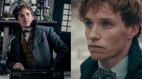 The Zoologist Who Rewrote The Textbook How Newt Scamander Changed The World Of Fantastic Beasts