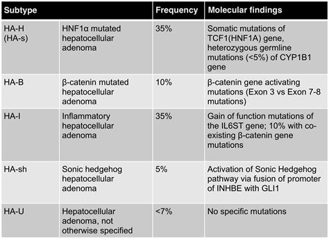 Hepatic Adenoma Gross