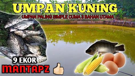 Umpan Kuning Racikan Umpan Ikan Mas Sangat Simple Hasil Melimpah