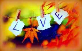 Cerita Gay Khusus Cowok