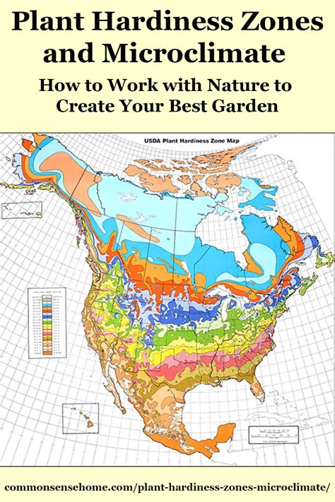 Gardening Zones In Texas | Fasci Garden