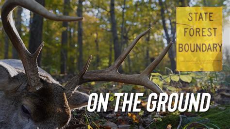 Ohio Public Land Buck On The Ground Bow Hunting Whitetail Adrenaline