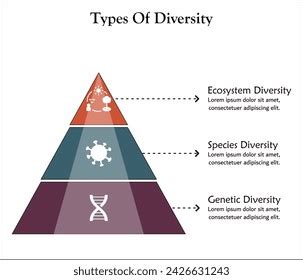 Three Types Diversity Ecosystem Species Genetic Stock Vector (Royalty ...