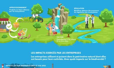 Empreinte biodiversité des entreprises My Mooc