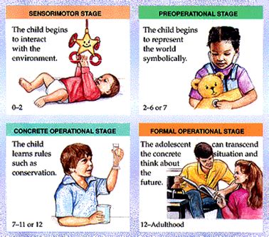 Stages of Development - Piaget's Cognitive Development Theory