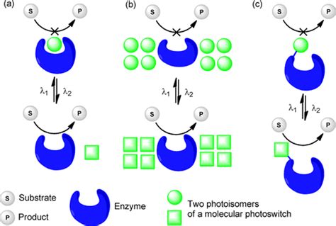 Reversible Photocontrol Of Biological Systems By The Incorporation Of