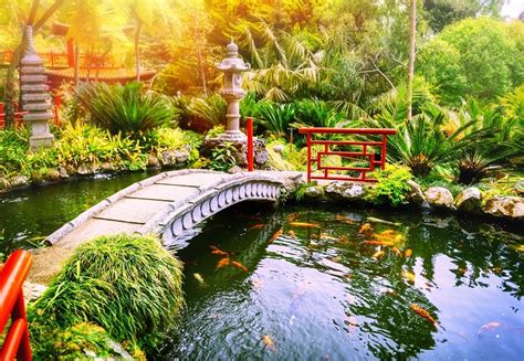 41 Unique Koi Pond Ideas And Designs With Pictures