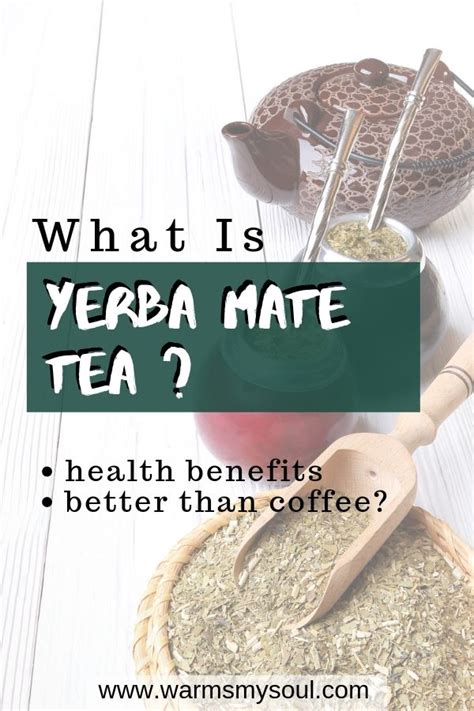 Health Benefits of Yerba Mate Tea (1) - Warms My Soul