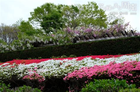 花と緑のまち 周南