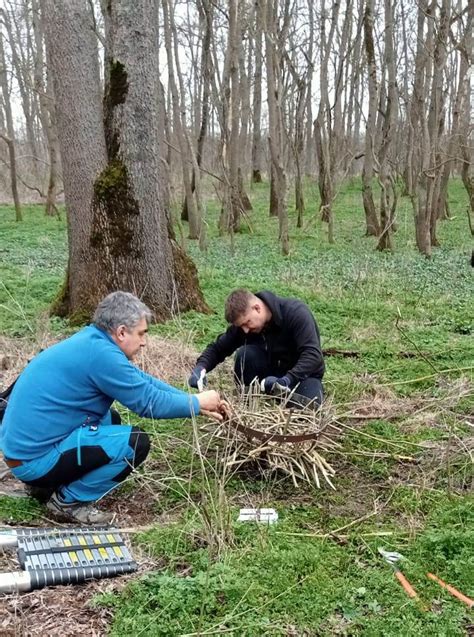 120 de cuiburi artificiale au fost montate în Parcul Național Lunca