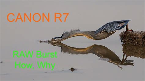 Canon R7 Why And How Raw Burst Youtube