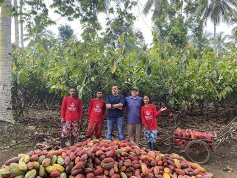 Cacao Culture: Championing sustainable cacao farming in Davao