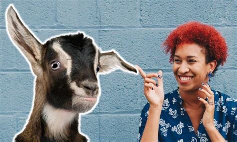 Hilarious Goat Names (25 Examples!) - Goat Owner