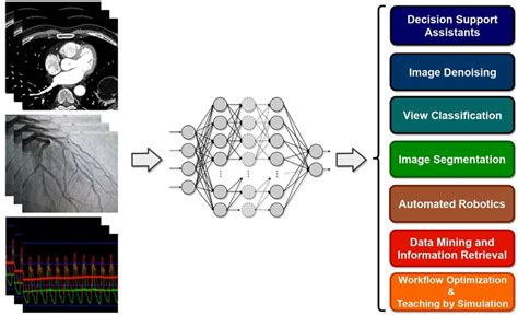 Domains Of Implementation Of Machine Learning Tools To Cardiology