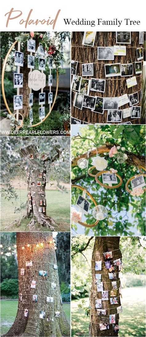 Inspiration Image Of Poloroid Wedding Ideas Regiosfera