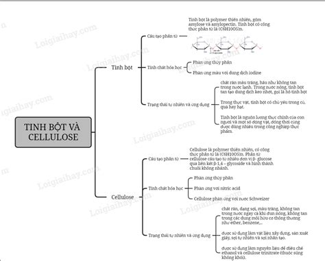 L Thuy T Tinh B T V Cellulose H A Ch N Tr I S Ng T O