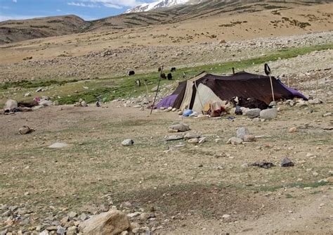 Tents of nomads Images - Search Images on Everypixel