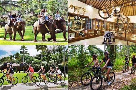 Bali Mountain Cycling + Elephant Safari Ride – BaliTiket.com