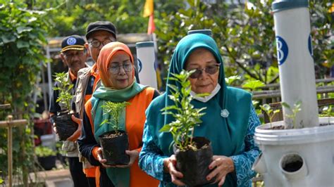 Gerakan Tanam Cabai Serentak Se Indonesia Di Berbagai Daerah Foto