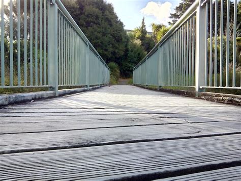 Premium Photo Footbridge Amidst Trees Against Sky