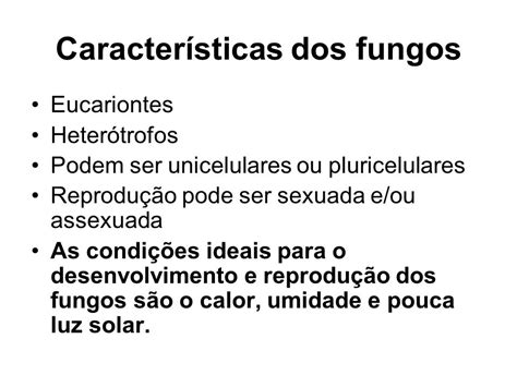 Fungos Biologia A ciência da vida