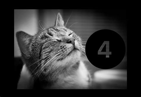 What are the CAT4 Tests? A Guide for Parents – The 11 Plus Journey