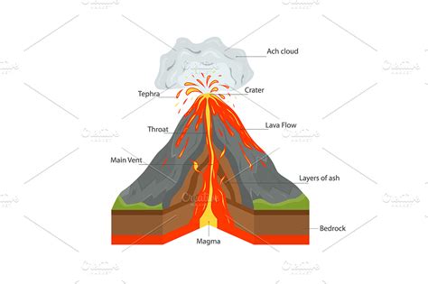 Volcano Cross Section View | Custom-Designed Illustrations ~ Creative ...