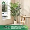 CROSOFMI Piante Finte Interno Areca Palma 190 Cm Piante Artificiali Da