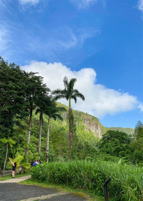 Visiting El Yunque National Forest Everything You Need To Know Pommie Travels