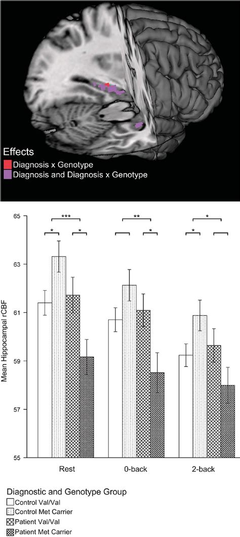 Scaled Mean Hippocampal Regional Cerebral Blood Flow Rcbf By