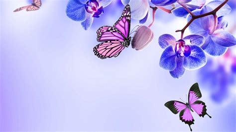 Purple Butterfly Desktop Wallpapers - Top Free Purple Butterfly Desktop ...