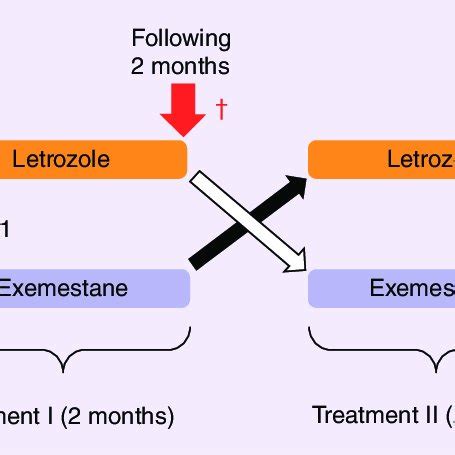 Structures Of The Aromatase Inhibitor Letrozole And The Aromatase