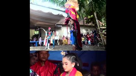 Bopo Pecut Dan Barongan Tunggal Youtube