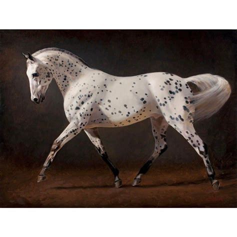 Spotted Horse Painting Oil on Canvas | Ngựa, Động vật