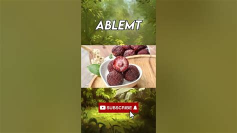 Yangmei Buah Paling Unik Di Dunia Youtube