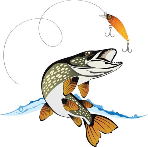 Northern Pike Clip Art Fishing Baits Lures Vector Graphics Png