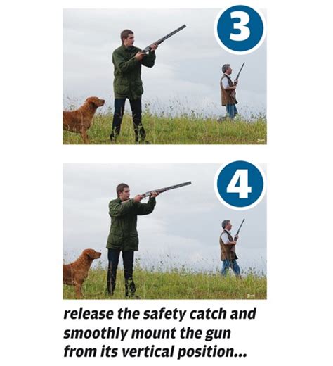 Tips To Make You Better At Walked Up Pheasant Shooting ShootingUK