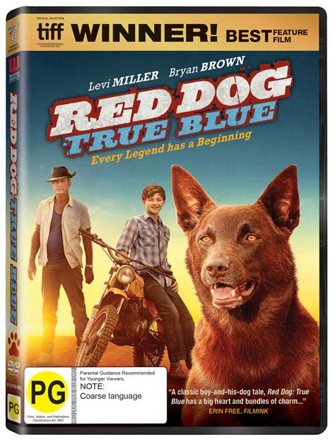 Red Dog: True Blue | DVD | Buy Now | at Mighty Ape NZ