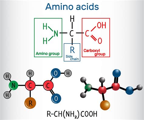 Quimica Aminoacidos