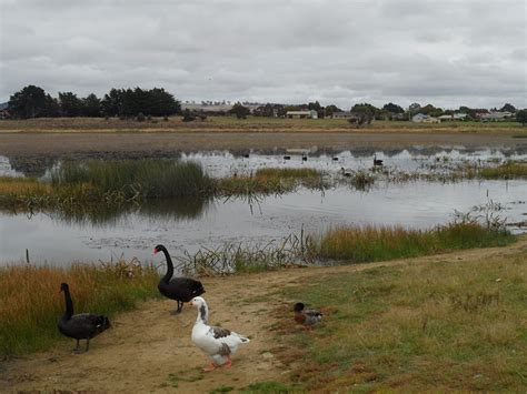 Avan Touring in Australia: The Midlands of Tasmania