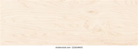 Birch Plank Texture