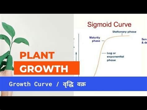 Plant Growth Curve Sigmoid Curve Typical Growth Curve YouTube