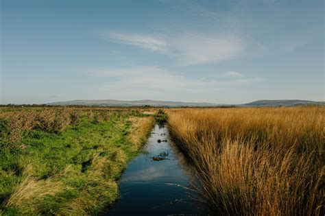 Peat Bogs are believed to restore climate but How?