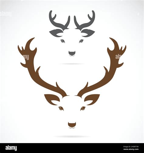 Vector Of Deer Head On A White Background Easy Editable Layered Vector