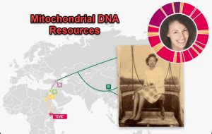 Mitochondrial DNA | DNAeXplained – Genetic Genealogy