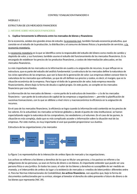 Control Y Evaluacion Financiero Ii Control Y Evaluacion Financiero Ii