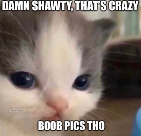 Boob Pics Tho Damn That S Crazy Know Your Meme