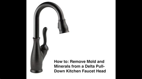 How To Disassemble And Remove Mold And Minerals From A Delta Pull Down