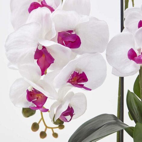 Homescapes Orchid E Artificielle Blanche En Pot Rond En C Ramique Noir