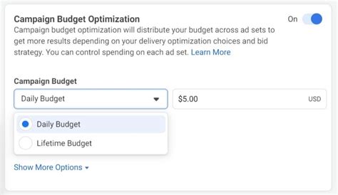 What Is Campaign Budget Optimization Cbo And How To Use It